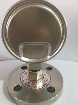 隔膜压力表 (4)