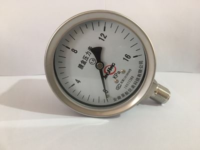 不锈钢压力表 (2)