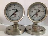 隔膜压力表 (5)