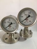 隔膜压力表 (8)