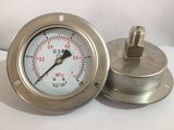 压力表 (2)